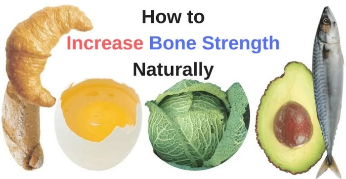 How to increase bone density through proper nutrition